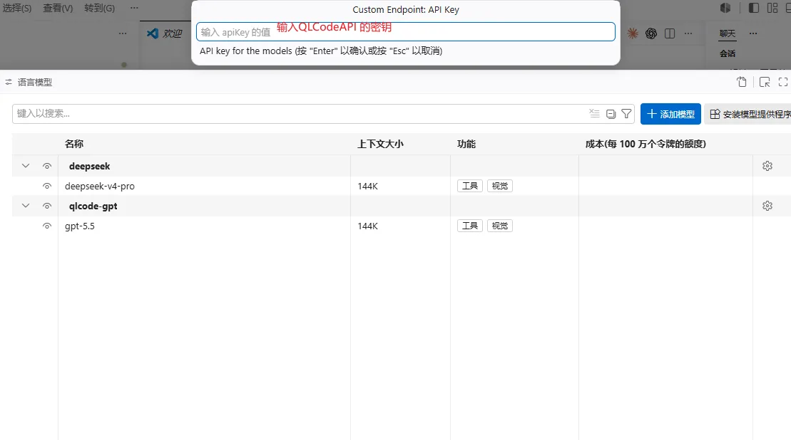 输入 API Key